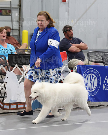 2021 SCA WK SWPS NOVICE B-3430