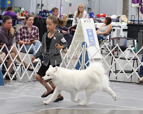 2021 SCA WK SWPS NOVICE B-3432