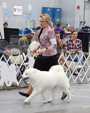2021 SCA WK SWPS NOVICE B-3433