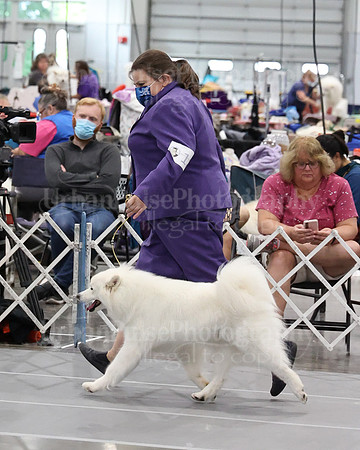 2021 SCA WK SWPS NOVICE B-3434