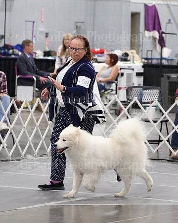 2021 SCA WK SWPS NOVICE B-3442