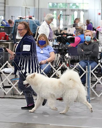 2021 SCA WK SWPS NOVICE B-3439