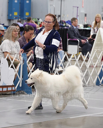 2021 SCA WK SWPS NOVICE B-3443