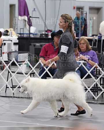 2021 SCA WK SWPS NOVICE B-3444
