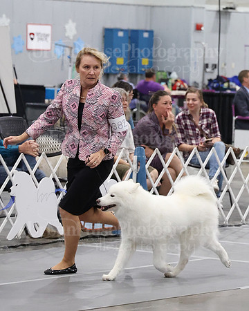 2021 SCA WK SWPS NOVICE B-3449