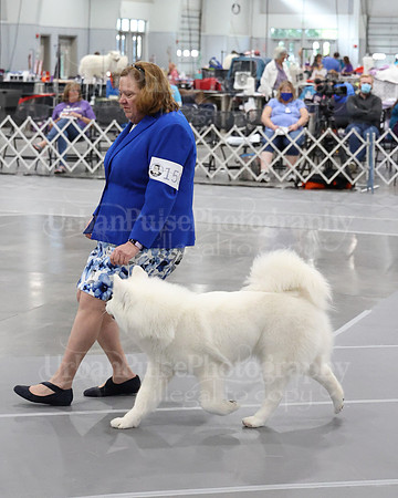 2021 SCA WK SWPS NOVICE B-3453