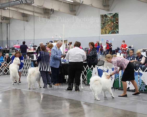 2021 SCA WK SWPS NOVICE B-3463
