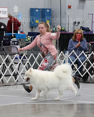 2021 SCA BEST & OPP VET SWPS-3082