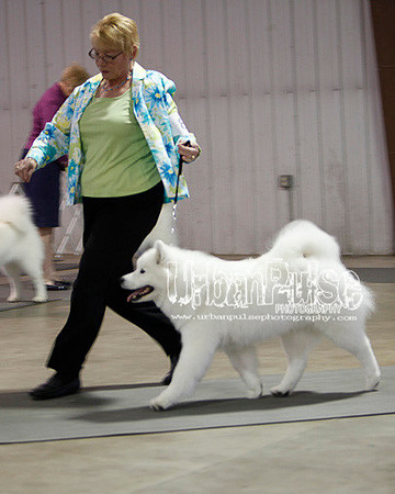 Fargo_2011-3661