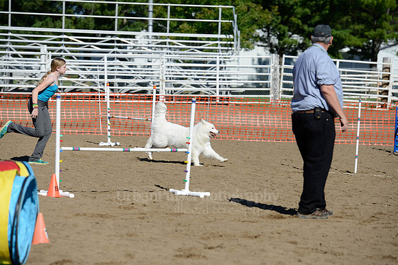 AGILITY-1935