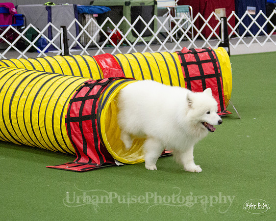 AGILITY_9512