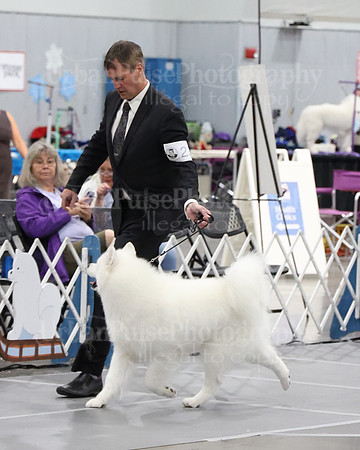 2021 SCA D BRED BY-4781