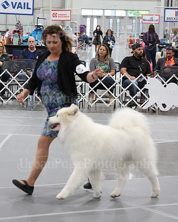 2021 SCA D OPEN-5435