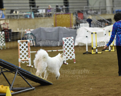SCA2016_AG MON FAST NOVICE-0090