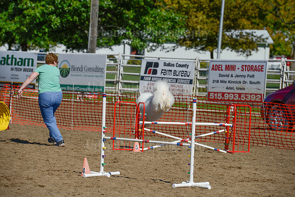 AGILITY-2340