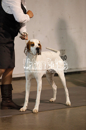 Fargo_2011-4203