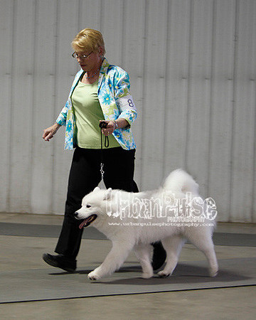 Fargo_2011-3761