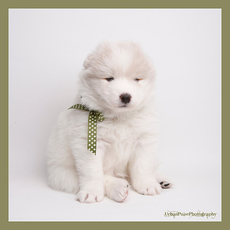 KEATS 4 WKS-0129