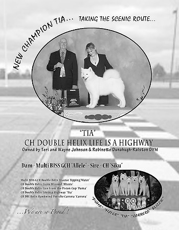Tia SCA Bulletin Ad 2014 BW