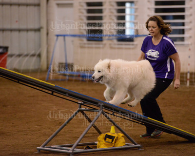 SCA2016_AG MON FAST NOVICE-3578