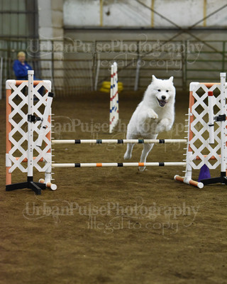 SCA2016_AG MON JWW NOVICE-1193