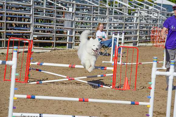 AGILITY-2201