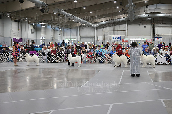 2021 SCA BOB D GRP4-2226