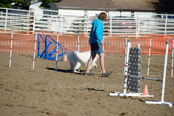 AGILITY-1874