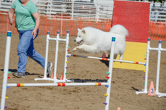 AGILITY-2346