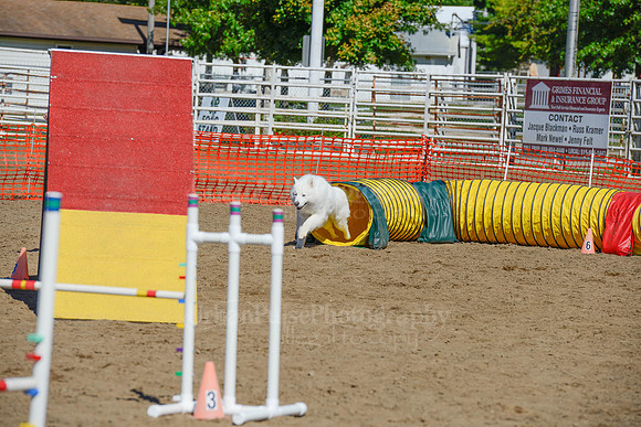 AGILITY-2342