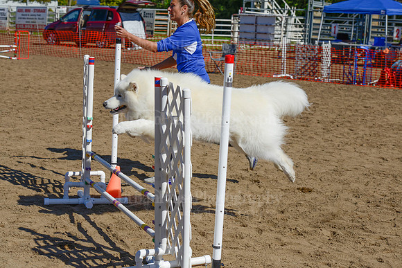 AGILITY-2205