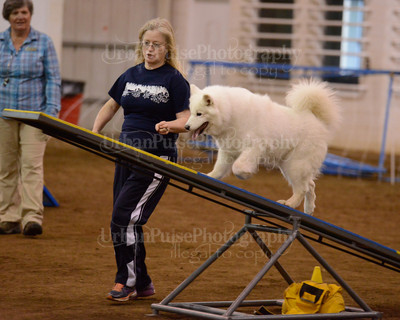 SCA2016_AG MON FAST NOVICE-3585