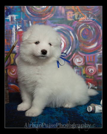 MaterxMaya5.5wks-8703