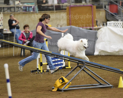 SCA2016_AG MON STD NOVICE-1101