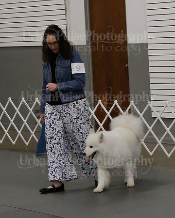 2021 SCA OBEDIENCE-RALLY-2174