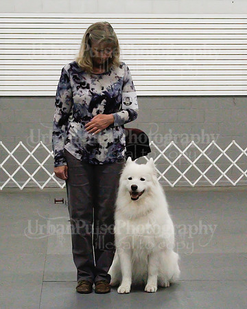 2021 SCA OBEDIENCE-RALLY-2160