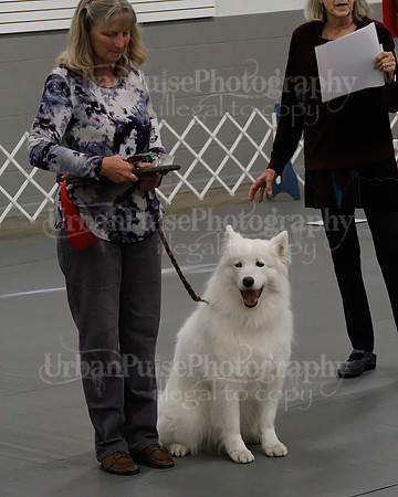 2021 SCA OBEDIENCE-RALLY-2171