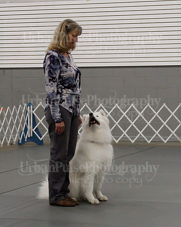 2021 SCA OBEDIENCE-RALLY-2167