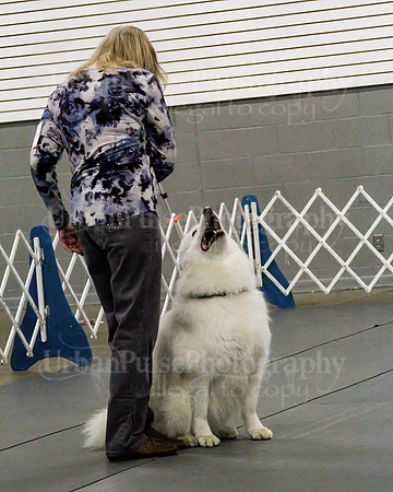 2021 SCA OBEDIENCE-RALLY-2161