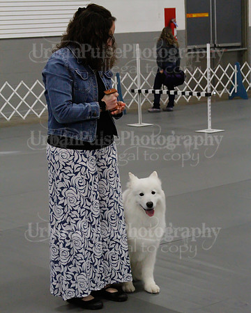 2021 SCA OBEDIENCE-RALLY-2176