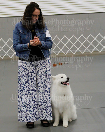 2021 SCA OBEDIENCE-RALLY-2178