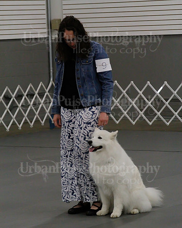 2021 SCA OBEDIENCE-RALLY-2182