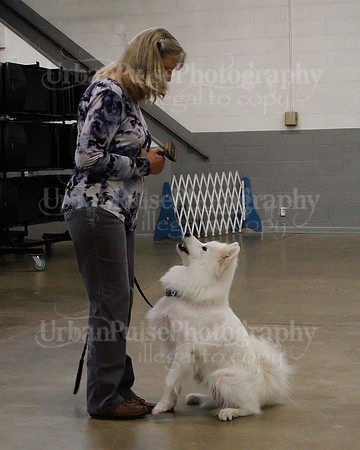 2021 SCA OBEDIENCE-RALLY-2183