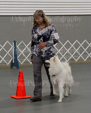 2021 SCA OBEDIENCE-RALLY-2187