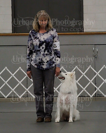 2021 SCA OBEDIENCE-RALLY-2188