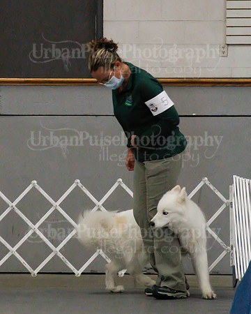 2021 SCA OBEDIENCE-RALLY-2196