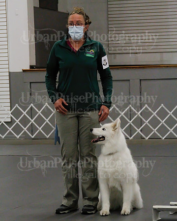 2021 SCA OBEDIENCE-RALLY-2199