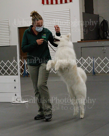 2021 SCA OBEDIENCE-RALLY-2200