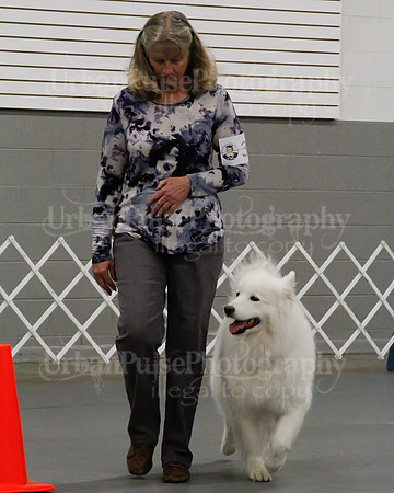 2021 SCA OBEDIENCE-RALLY-2204