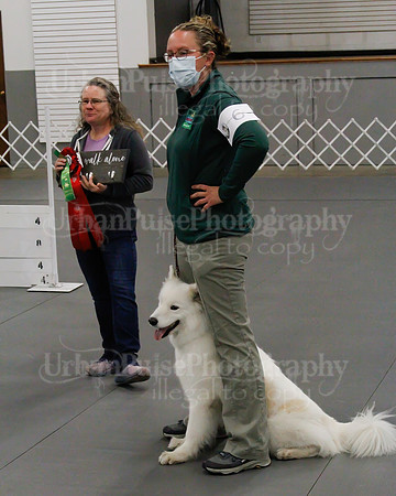2021 SCA OBEDIENCE-RALLY-2212